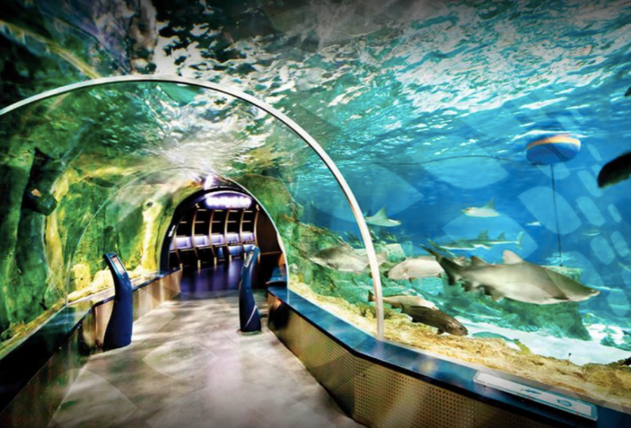 thumbAquarium  in Istanbul