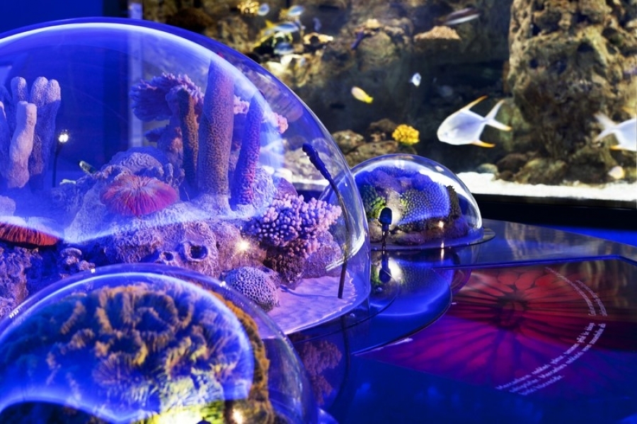 thumbAquarium  in Istanbul