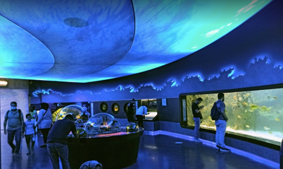 thumbAquarium  in Istanbul